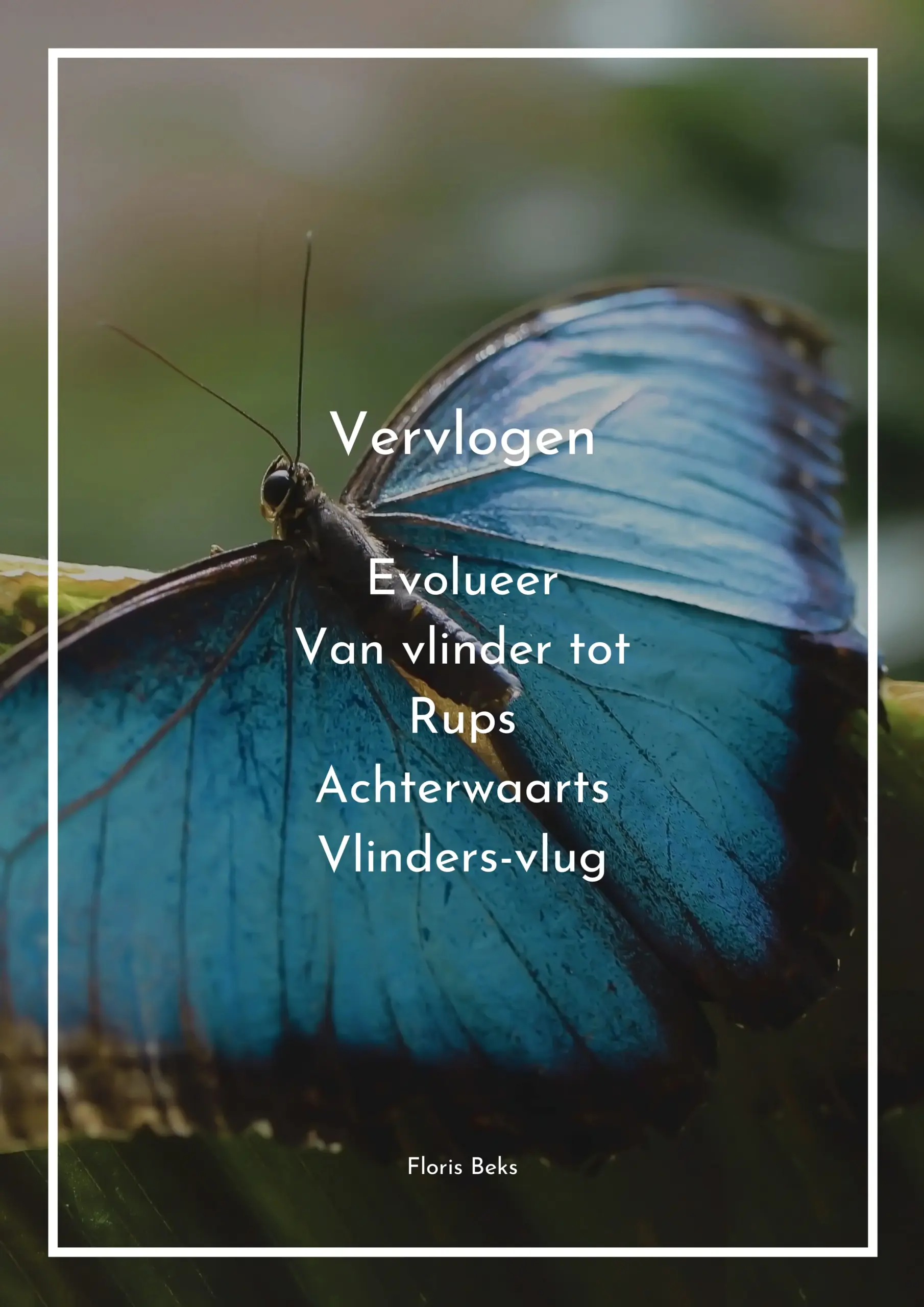 Vervlogen - Floris Beks